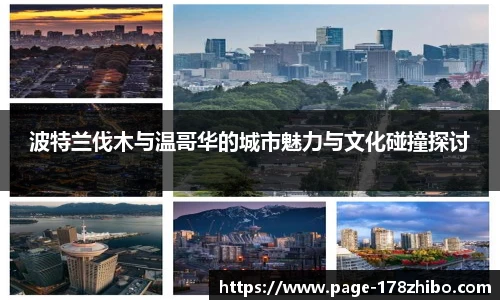 178体育直播间